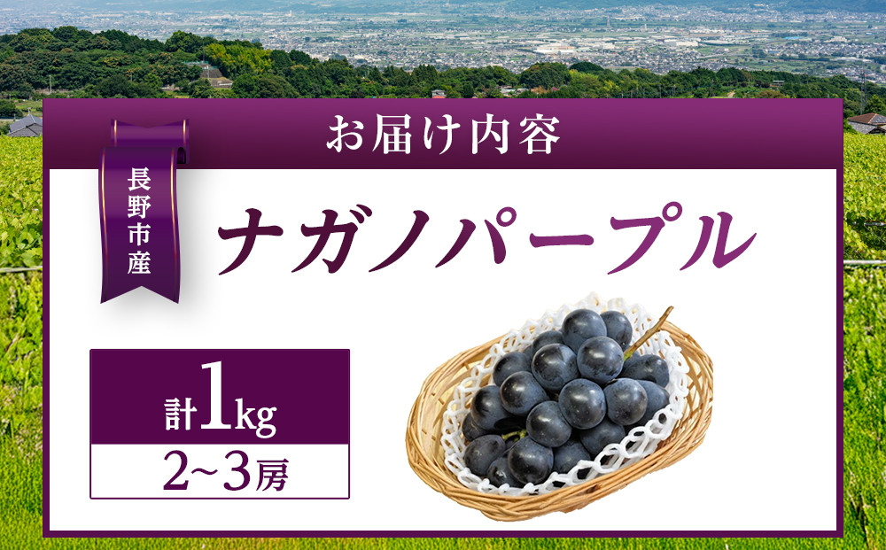 金オ岡村青果株式会社　長野市産 ナガノパープル1kg【2026年8月末以降出荷分】果物 くだもの フルーツ デザート 種無し 大粒 旬 |  ぶどう フルーツ 果物 人気 おすすめ ギフト プレゼント