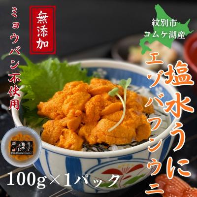 ふるさと納税 紋別市 生 うに 紋別コムケ湖産 ミョウバン不使用 100g(100g×1個)