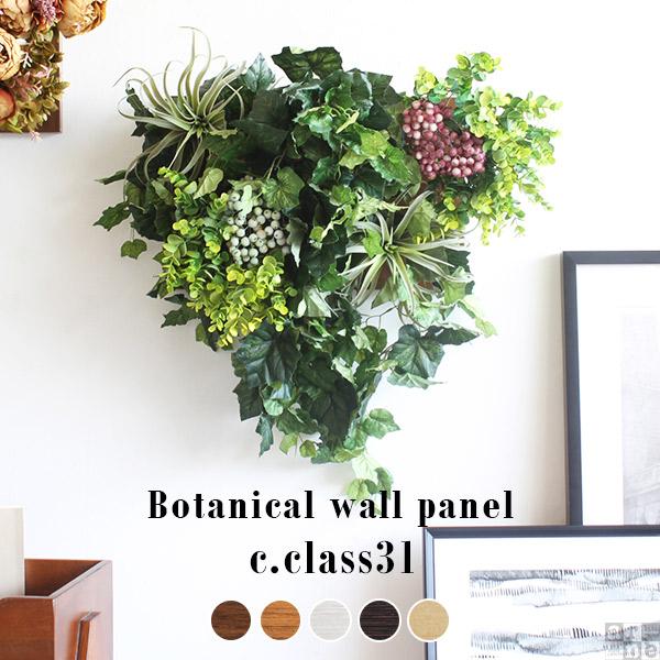 Botanical c.class 31　ブラウン