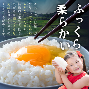 【1295】御坊・日高地方産　粒より米　きぬひかり　5kg