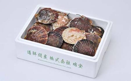北海道噴火湾産 殻付きほたて(二年貝) 2kg 海産物 加工品 ほたて 帆立 ホタテ 魚介類 海鮮 森町 ふるさと納税 mr1-0983