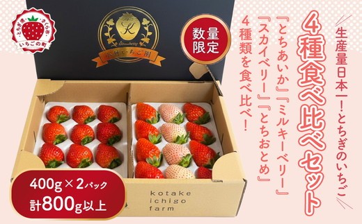 
                  大満足4種食べ比べセット（とちおとめ、ミルキーベリー、とちあいか、スカイベリー）400g×2パック 800g｜いちご イチゴ 苺 先行予約 栃木県 果物 くだもの フルーツ とちおとめ とちあいか スカイベリー ミルキーベリー 新鮮 贈答 ギフト 高級 食べ比べ ※2027年1月～発送
                