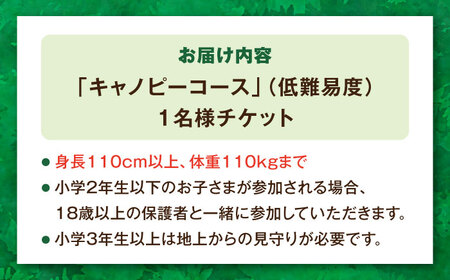 家族みんなで楽しめるコース！ キャノピーコース チケット (1名様) / 自然 アウトドア アクティビティ 体験 / 大村市 / フォレストアドベンチャー[ACCH003]