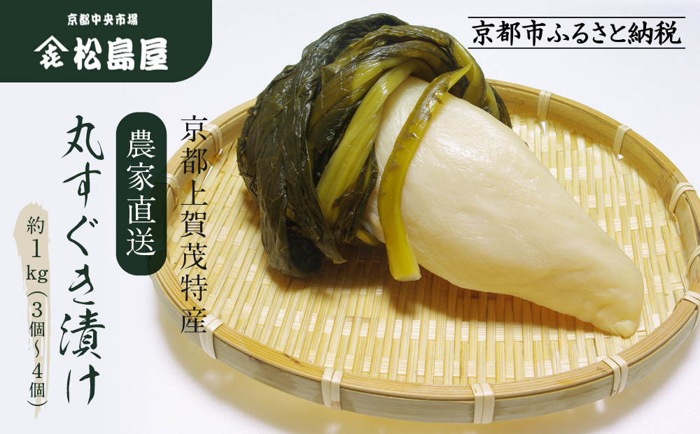 【期間限定～1/15】【松島屋】京都上賀茂特産 農家直送丸すぐき漬け1kg｜京都 老舗 すぐき漬け 大容量 人気 おすすめ［ かぶら 漬物 老舗 農家直送 野菜 京野菜 セット お土産 贈答 人気 おすすめ お取り寄せ 通販 送料無料 ふるさと納税 ］ 261009_C-AL001