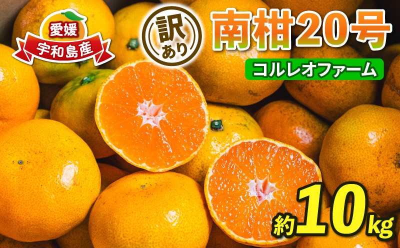 
                  訳あり 南柑20号 温州みかん 10kg コルレオファーム わけあり 愛媛ミカン 愛媛みかん みかん フルーツ 柑橘 蜜柑 mikan 温州 果物 くだもの 人気のみかん 美味しいみかん 濃厚みかん 温州蜜柑 産地直送 数量限定 国産 愛媛 宇和島 B012-145009
                
