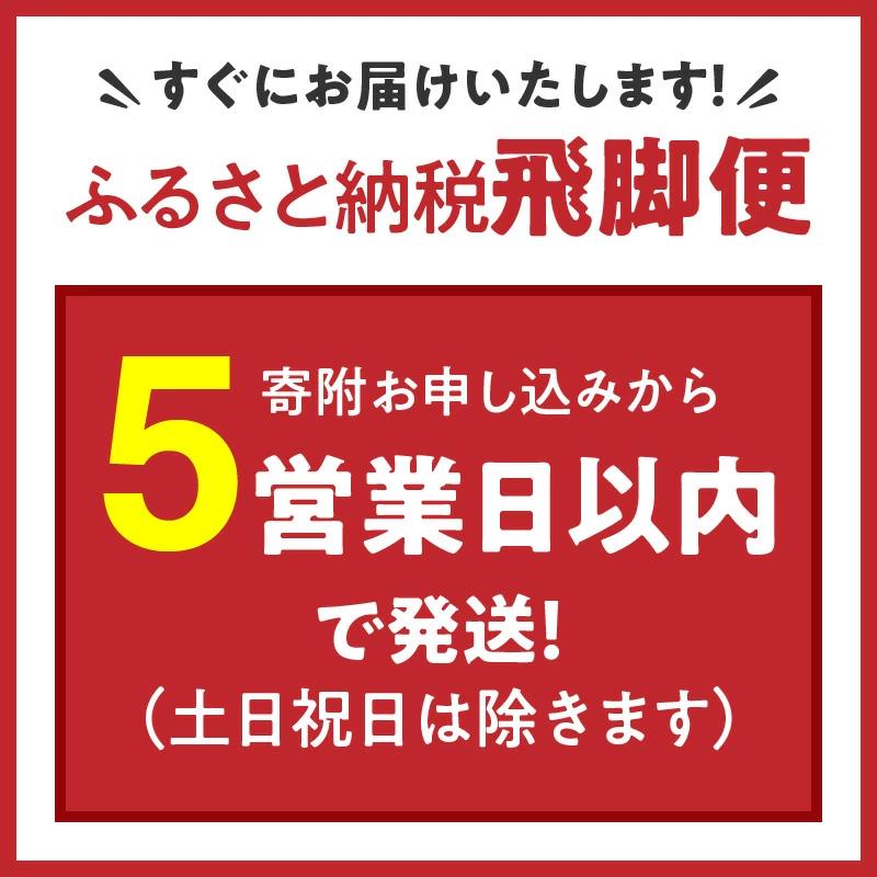 （数量限定）【すぐにお届け&日時指定可】 愛知県産コシヒカリ 10kg(5kg×2袋)　こめ コメ ごはん 安心安全なヤマトライス 米 白米 国産 精米 10キロ 新米 令和7年 H074-688