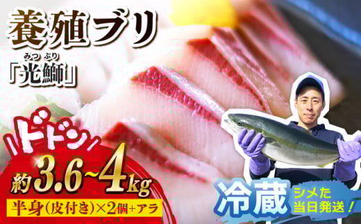 ブリ「光鰤」 皮付き 1本 約3.6～4kg＜小山水産＞ [CDZ006]  西海市産 魚 ブロック 刺身 ブリ ぶり ブリしゃぶ