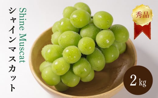 【先行予約 2026年8月下旬から発送】シャインマスカット 2kg 秀品 シャインマスカット マスカット ますかっと ぶどう ブドウ 葡萄 種無し 果物 くだもの フルーツ 旬 期間限定 愛媛県 松山市