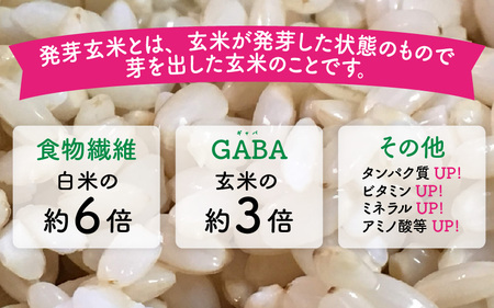 【令和7年産】発芽玄米 コシヒカリ「特選」特別栽培米使用 2kg×3袋（計6kg）【米 こしひかり 玄米 ギャバ GABA 特別栽培 食物繊維 栄養 真空パック ごはん ご飯 おいしい ふるさと納税米