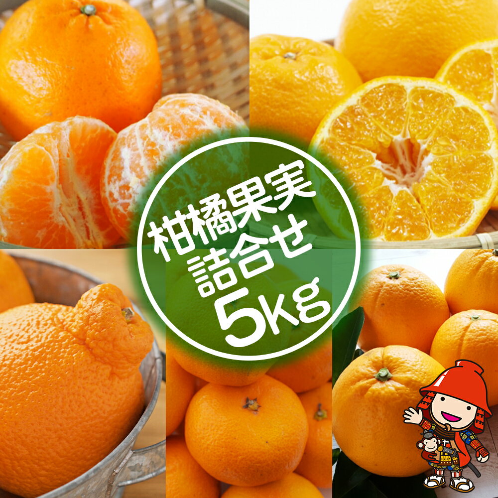 【ふるさと納税】【期間限定】おはら果樹園果実詰め合わせ 約5kg | フルーツ 果物 くだもの 果実 柑橘 柑橘類 セット 詰め合わせ ( みかん ポンカン はるみ 不知火 等) おはら果樹園 産地直送 大分県 中津市 送料無料【発送は2025年12月中旬～2026年3月中旬頃までの予定】