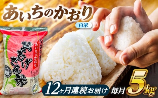 【12回定期便】 あいちのかおり 白米 5kg×12ヵ月 愛西市 / 脇野コンバイン [AECP006]