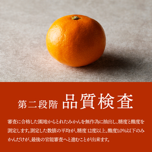 有田市認定みかん「未来への虹」至宝(5kg)【日本初自治体認定フルーツ】(B1-2)