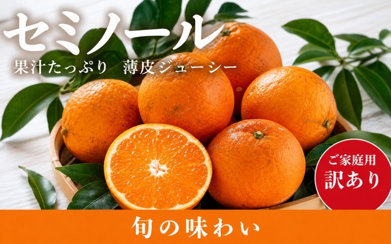 
                  【訳あり・ご家庭用】ジューシー柑橘　セミノールオレンジ　約5kg【2027年5月上旬頃〜2027年5月下旬頃に順次発送予定(お届け日指定不可)】
                