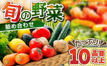地元農家さんが収穫した旬のお野菜  10種詰め合わせ / 野菜 旬 新鮮 採れたて 季節野菜 旬野菜 農家直送 / 南島原市 / ミナサポ [SCW022]