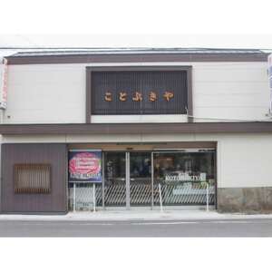 ひき肉 (計1.5kg 300g×5P) 国産 冷凍 肉 小分け 豚 豚肉 米 にあう お弁当 ごはん おかず 丼 惣菜 料理 ハンバーグ コロッケ チャーハン 中華炒め フライ 炒め 炒め物 鍋 野