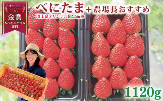 【事前受付】いちご べにたま +農場長おすすめ品種 1120g (280g×4P)  苺 食べ比べ イチゴ ストロベリー 産地直送 ご当地 果物 くだもの フルーツ デザート 食品 冷蔵 げんき農場 埼玉県 羽生市