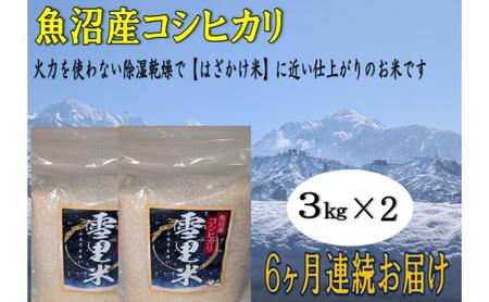 生産者直送！魚沼産コシヒカリ【雪里米 ふるさとまい】 精米3kg×2 6ヶ月連続お届け お米 ライス ご飯 主食 新潟県産 産地直送 定期便 半年 6回 