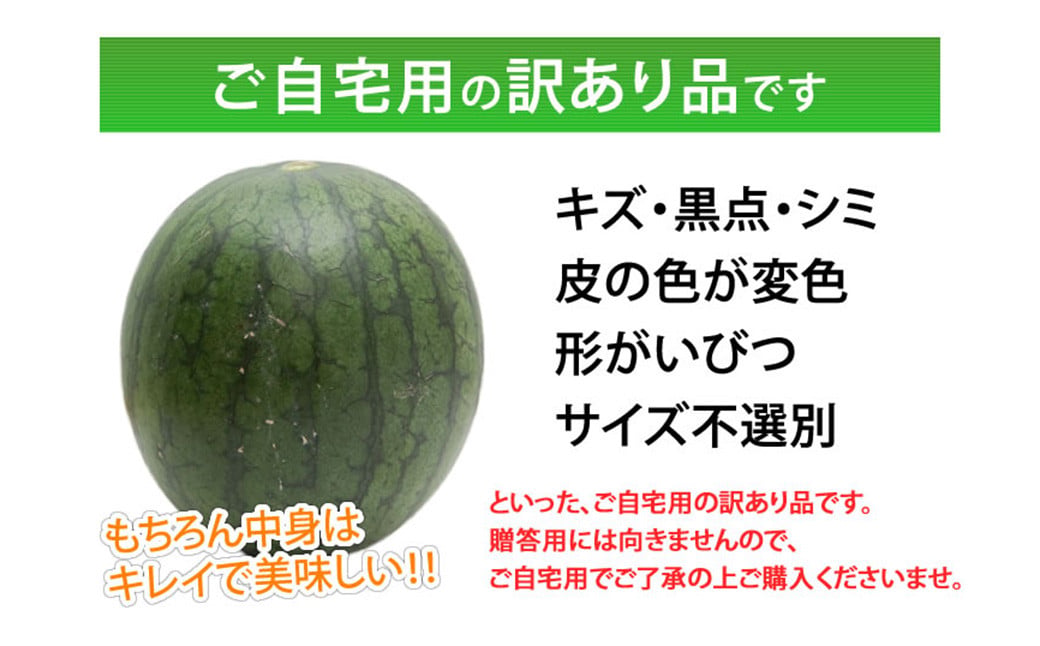 訳あり 小玉すいか 2玉 約2～3kg 送料無料 熊本すいか すいか 西瓜 ひとりじめ 果物 フルーツ 【2026年5月下旬～7月下旬発送予定】