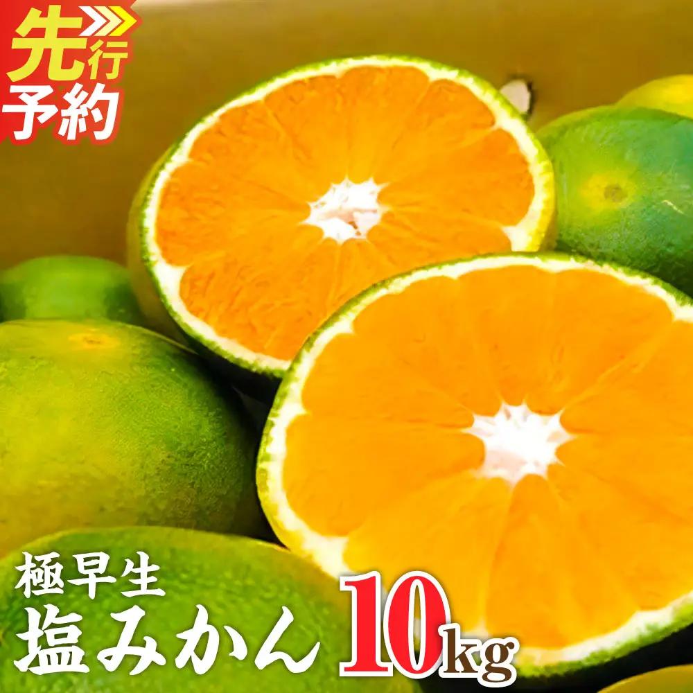 A156 福岡県山川産 極早生 塩みかん(緑) 10kg 【2026年9月下旬～10月下旬発送予定】 早採り 蜜柑