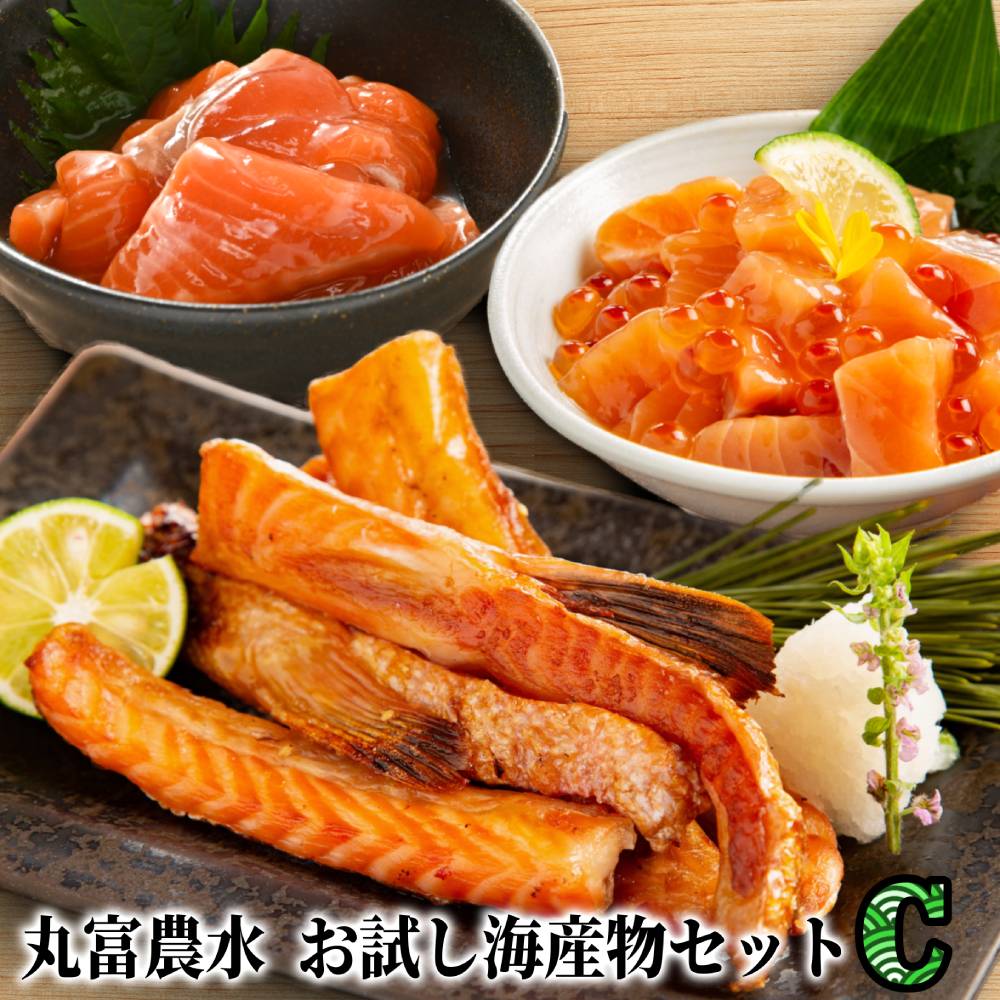 11-217 丸富農水お試し海産物セットＣ