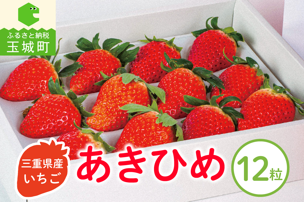 三重県玉城産 いちご 「章姫」12粒入り