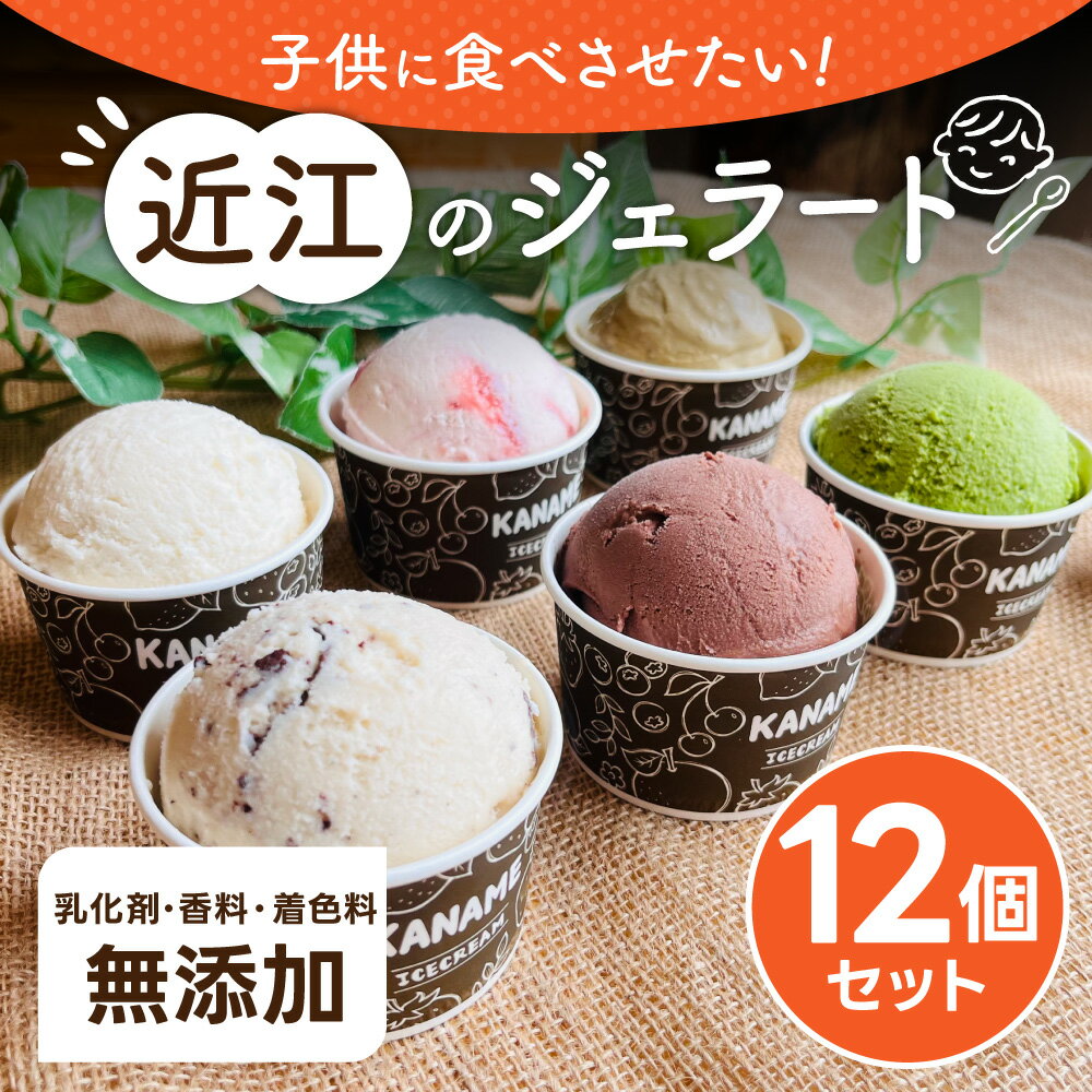【ふるさと納税】アソート12個セット H.Bコミュニケーションズ合同会社（かなめカフェ） 滋賀県 東近江市 A18 アイスクリーム ジェラート 12個 近江 滋賀