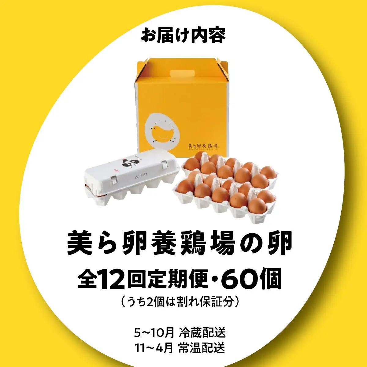 美ら卵養鶏場の卵 60個【12ヶ月定期便】   