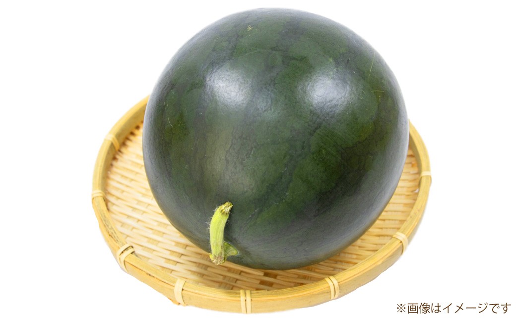 黒小玉スイカ