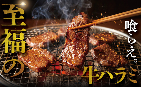 【ハラミ】450g【 牛ハラミ 】