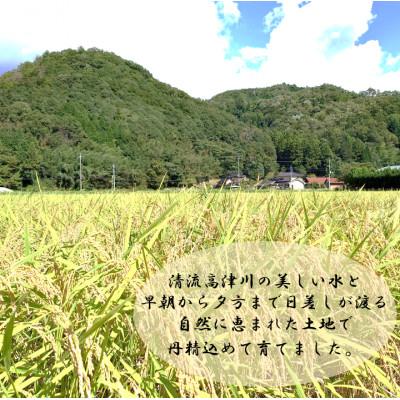 ふるさと納税 吉賀町 令和8年産　吉賀町広石産きぬむすめ　清流高津川のお米　精米5kg |  | 01