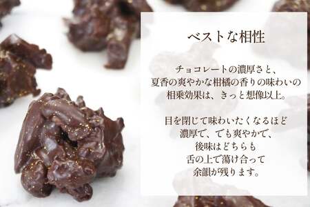 チョコ オランジェット サマー オレンジ 5粒入り 2箱 セット 12回 定期便 総計 24箱 [心優-Cotoyu Sweets- 長崎県 平戸市 hr42bgy420273]