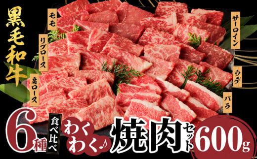 【令和7年5月発送】生産者応援≪訳あり≫黒毛和牛(経産牛)6種焼肉セット(合計600g) 肉 牛 牛肉 おかず 国産_T030-120-05