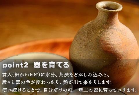 唐津焼 粉引絵唐津陶皿 五代陶痴作
