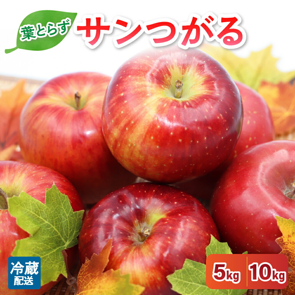 【ふるさと納税】9月 りんご 5kg 10kg 葉とらず サンつがる 青森 フルーツ 果物 【2025年 リンゴ 林檎 果物 】秋 旬 五所川原市