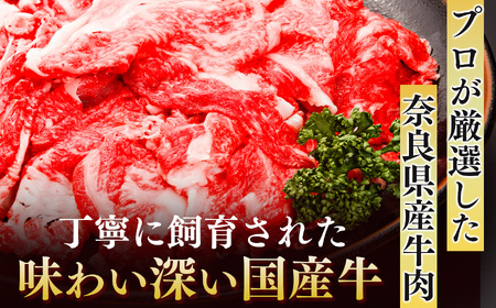 【定期便12回】国産牛 こまぎれ 600g(300gx2) ｜ 肉 にく ニク お肉 牛肉 黒毛 和牛 赤身 国産 大和牛 切り落とし こまぎれ バラ サーロイン ステーキ 盛合わせ 冷凍 奈良県 五