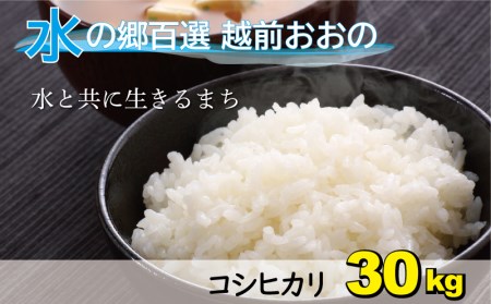 【令和7年産 】こしひかり（福井県大野市産）エコファーマー米（白米）30kg（5kg×6袋）[C-003003]