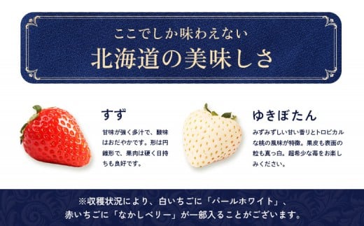 【12月以降、随時発送！】【北海道産】ゆきいちご（ゆきぼたん/すず）赤白ＭＩＸ×２Ｐセット 250g×2　計500g