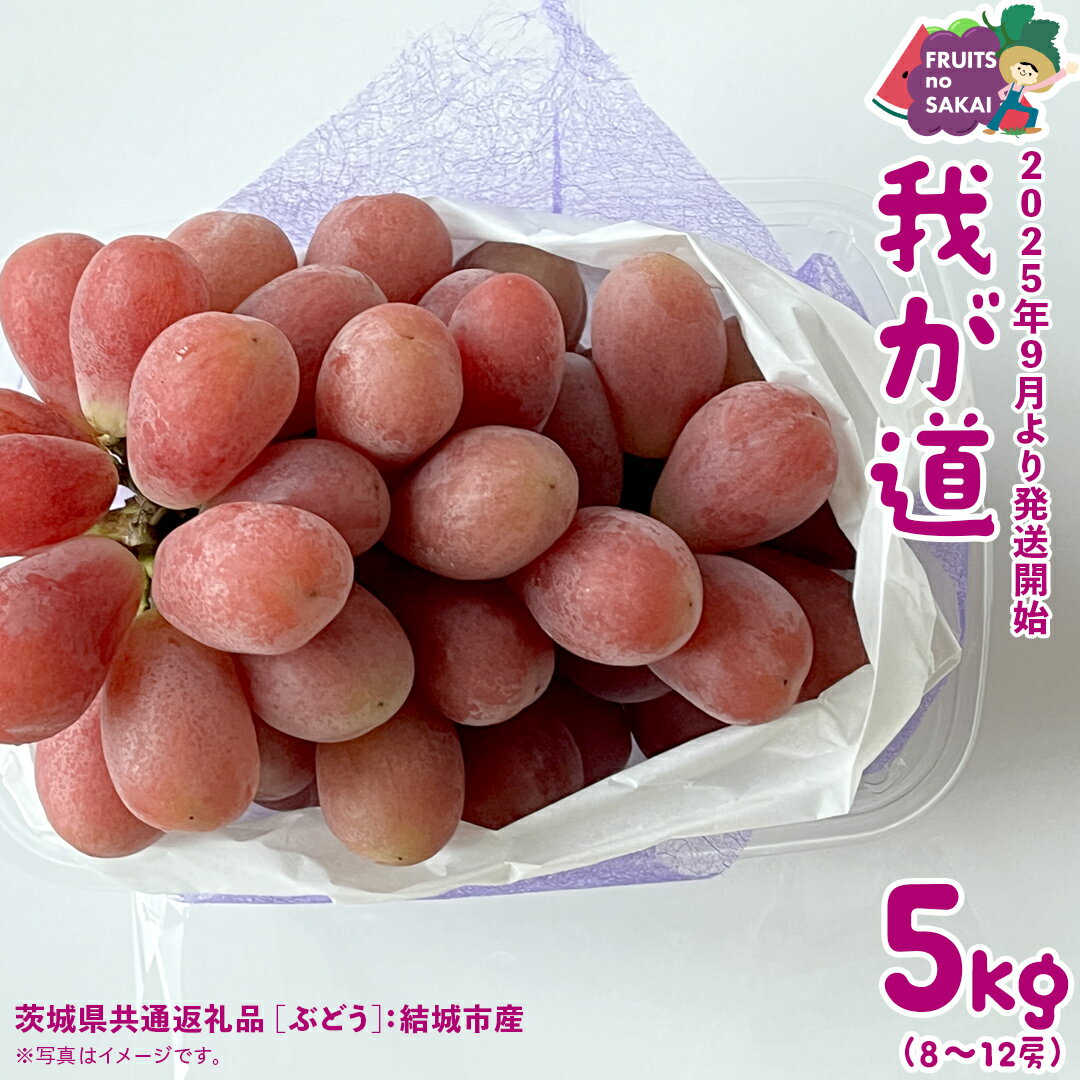 【ふるさと納税】我が道 5kg （8～12房）【2025年9月より発送開始】（茨城県共通返礼品 [ぶどう]：結城市産） 葡萄 赤ぶどう 旬 お取り寄せ フルーツ 希少品種 新品種 デザート