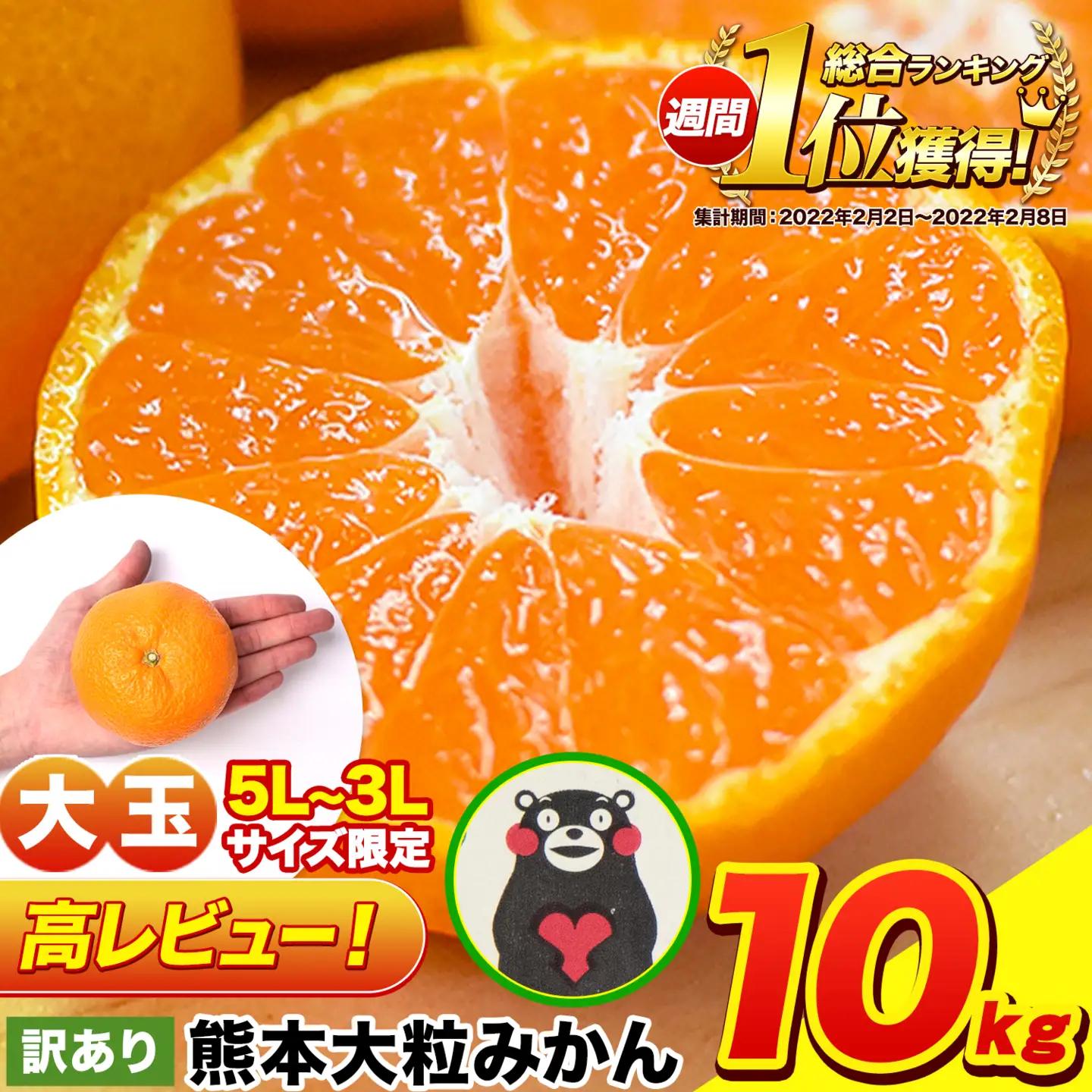 みかん 訳あり 大粒 みかん 10kg 大玉