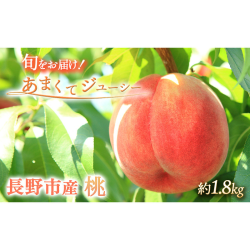 矢島農園　 長野市産 桃1.8kg(6～11個)【2026年7月上旬頃～発送予定】 | 桃 フルーツ 果実  人気 おすすめ ギフト プレゼント 送料無料 長野県 長野市 信州 信濃 ふるさと納税