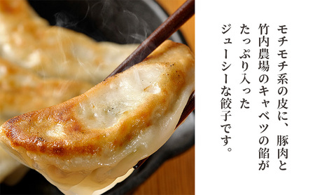 ボリューム満点 手作り冷凍餃子 60個 (15個×4袋)［錦華園］【 野菜 キャベツ たっぷり 厚い 手包み 手作り もちもち モチモチ 汁 町中華 中華 北海道 十勝 幕別 】