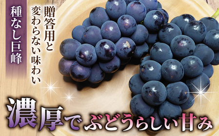 【おがわら農園】家庭用欲張りセット！（シャインマスカット1房・種無し巨峰1～2房）約850～900g