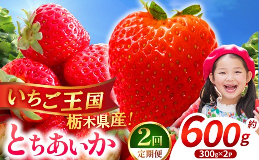 【先行予約】【期間限定】【定期2回】那珂川町産とちあいか  約300g×2 |いちご とちあいか ジューシー フルーティー 大きい 新鮮 甘い 美味しい 果物 共通返礼品 フルーツ デザート 栃木県 那珂川町 送料無料