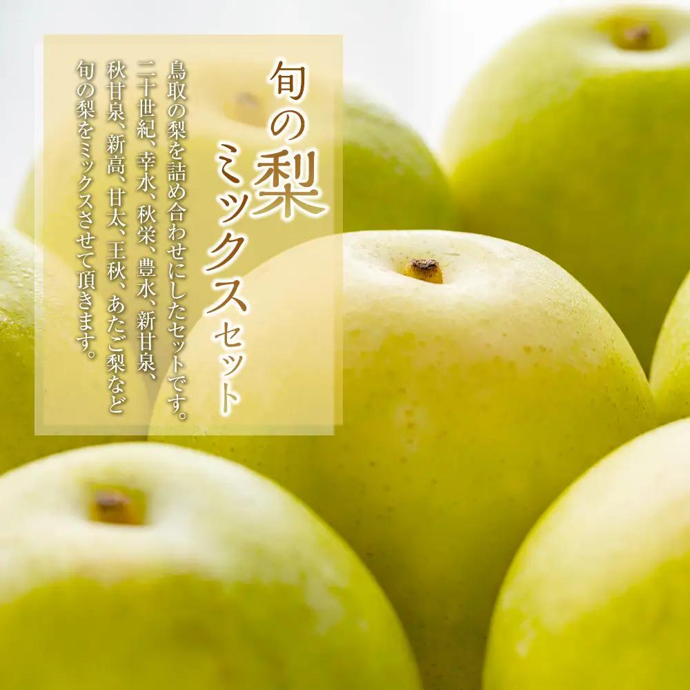 【品種はおまかせ】旬の 梨 ミックスセット 3kg ※2026年8月下旬～12月下旬頃に順次発送予定  梨