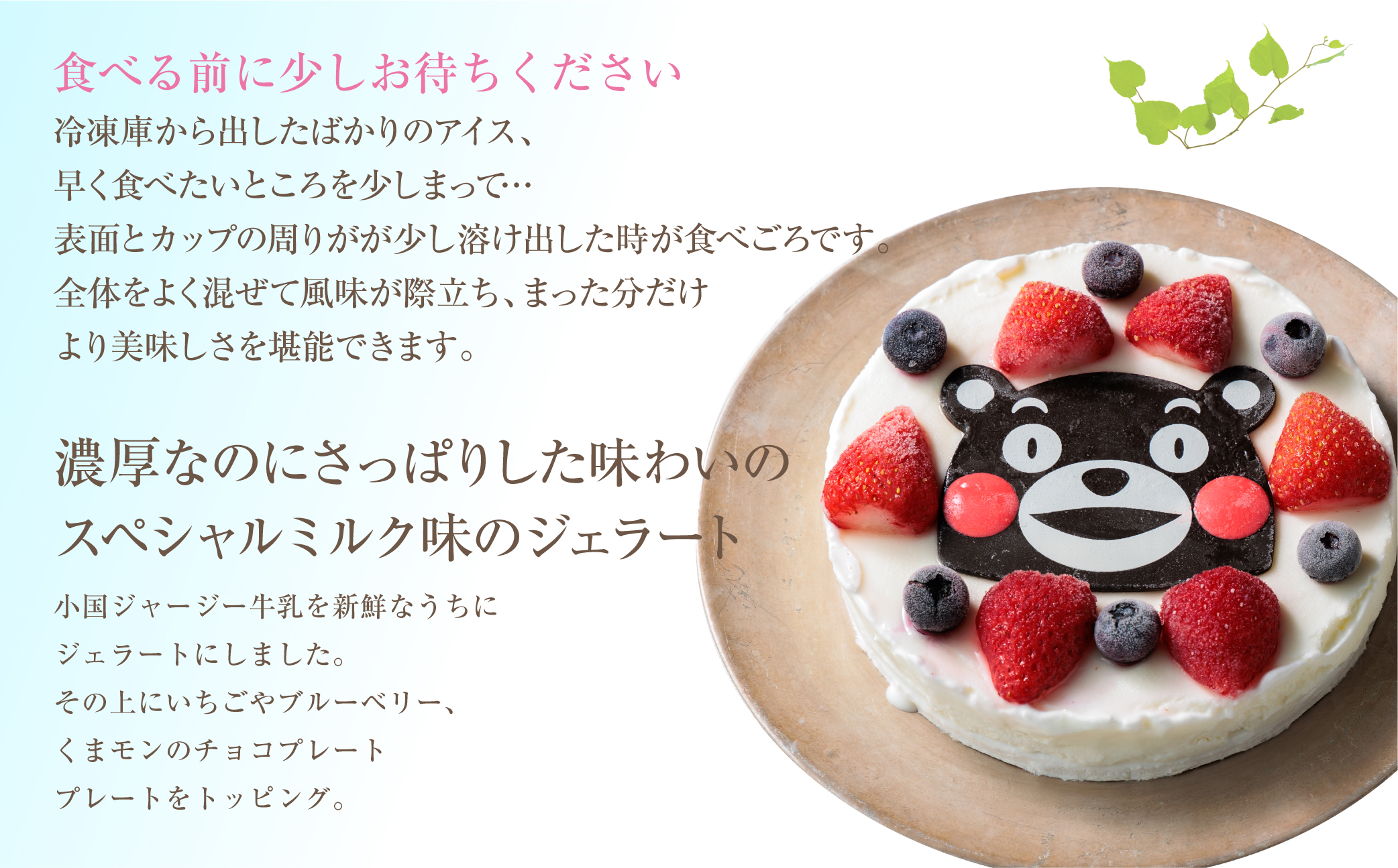  【阿蘇天然アイス】 くまモンホームパーティーアイスケーキ 【詰め合わせ 最中 スイーツ デザート 和菓子 高級 ギフト 贅沢 人気 ご褒美 お取り寄せ グルメ 飛行機 熊本 阿蘇 熊本県 阿蘇市】