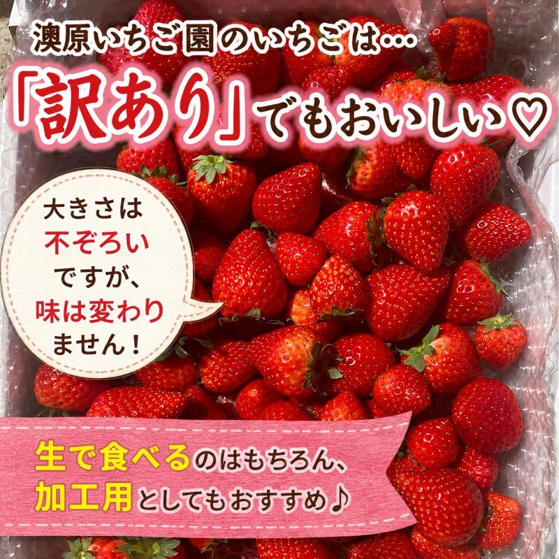 訳あり 粒不揃い スカイベリー 560g (280g×2P) | 栃木県 矢板市 澳原いちご農園