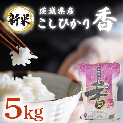 ふるさと納税 茨城町 【令和7年産】茨城県産米　こしひかり香　5kg