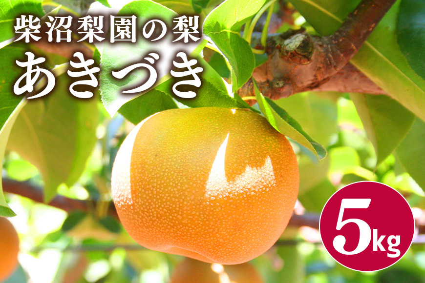 柴沼梨園の梨(あきづき)5kg 大玉 10~16個入り ナシ なし 国産 茨城 秋 旬 フルーツ 果物 先行予約【9月上旬頃～発送】秋の味覚 旬の果物 くだもの 大きい サイズ 品種 あきづき 産地 茨城県産 家庭用 梨園直送 茨城県 笠間市 BX-003