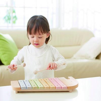 ふるさと納税 いなべ市 エドインターの知育玩具【エレファントシロフォン】(日本産/木製玩具) |  | 03