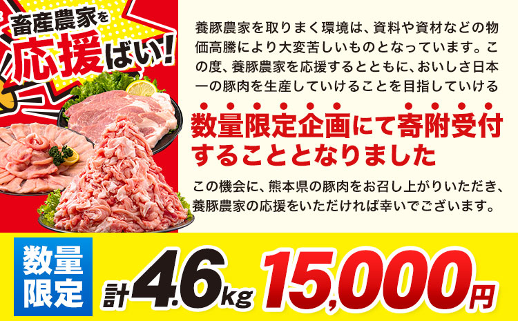 数量限定★生産者応援★ 豚肉 小分け バラエティ セット うまか ポーク しゃぶしゃぶ 切り落とし 豚ロース バラ 豚バラ 豚バラ肉 スライス 4.6kg 4600g 4kg 以上 真空 お楽しみセッ